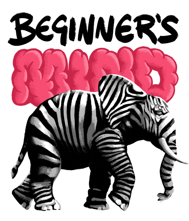 We are curious and creative