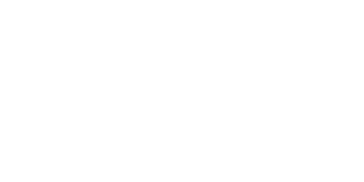 Viva Energy Logo